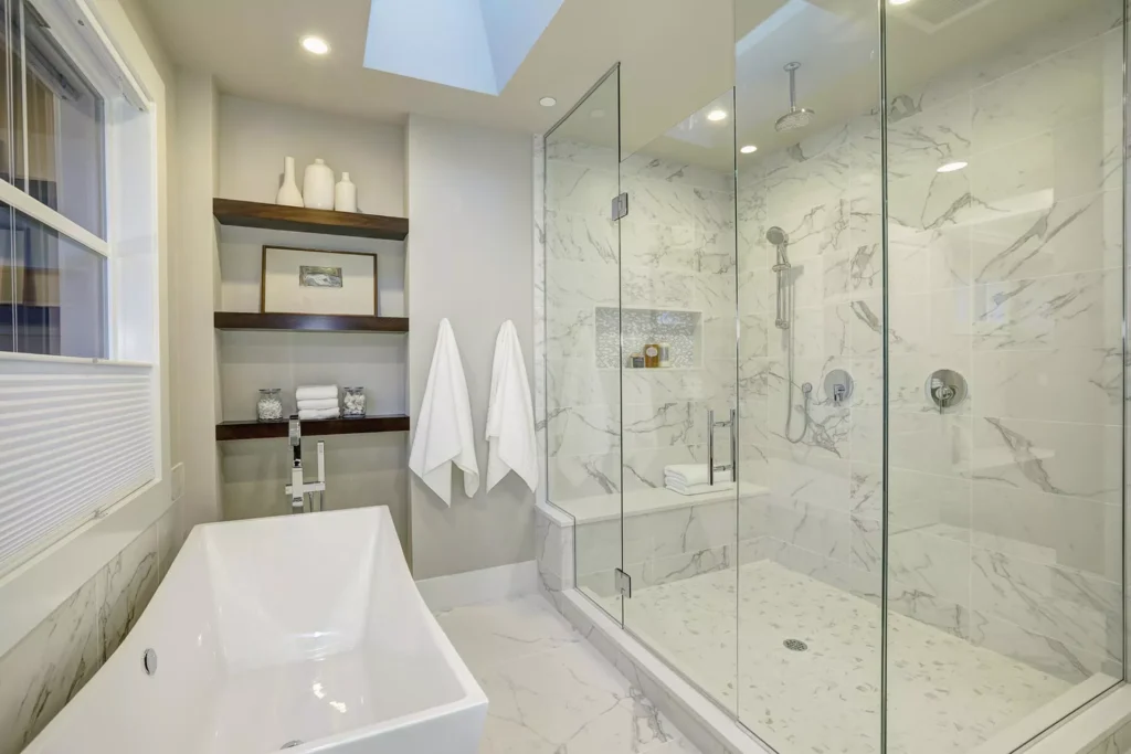 frameless shower door 1